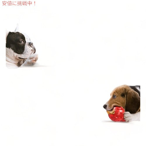 Nylabone Power Chew , Original Flavor, XL / ナイラボーン デンタルチュウ パワーチュウ [オリジナルフレーバー] [XL/Souperサイズ] 6