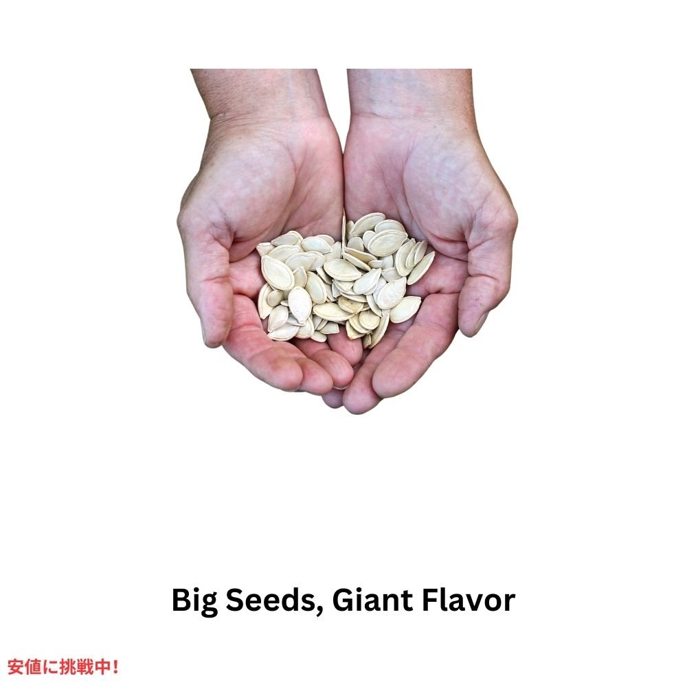 【3個セット】Giants Pumpkin Seed ジャイアント ソールティド・パンプキン・シーズ カボチャの種の塩漬け Roasted and Salted 146g 4