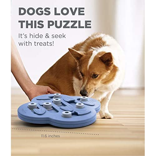Nina Ottosson by Outward Hound Dog Hide N' Slide パープル インタラクティブ トリート パズル 犬のおもちゃ 6