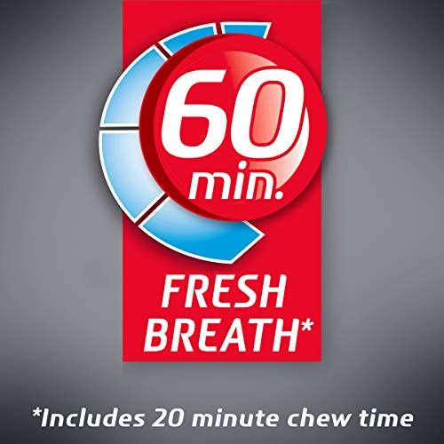 Dentyne デンタイン アイスアークティックチル シュガーフリー ガム 16個入り 9パック（合計144個） Ice Arctic Chill Sugar Free Gum 5