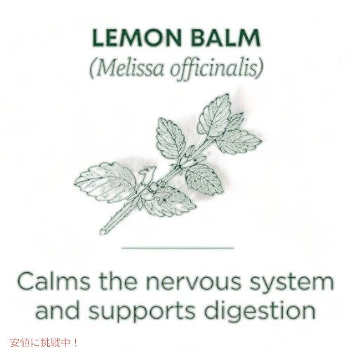 Traditional Medicinals Lemon Balm Tea オーガニック|トラディショナルメディシナル レモンバームティー ティーバッグ 16包 24g 2