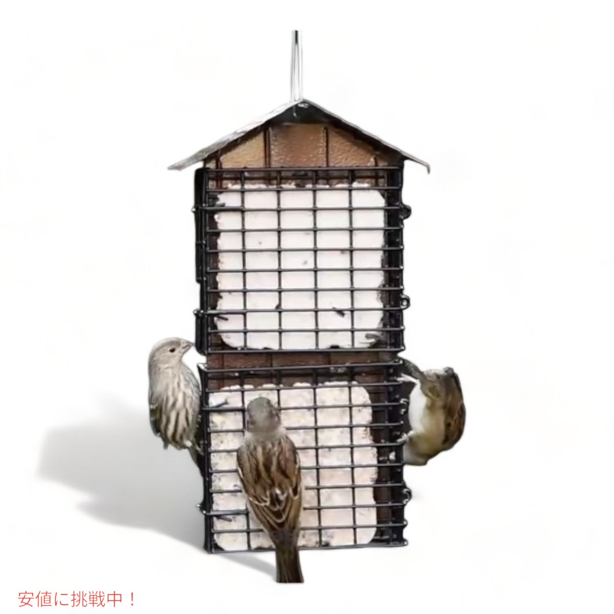 モアバード 金属屋根付き 4ケーキ スエット ビュッフェ バードフィーダー More Birds 4 Cake Suet Buffet Bird Feeder with Metal Roof 3