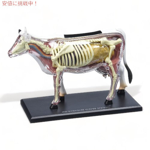 Tedco テッドコ 4D Master 牛解剖模型 Vision Cow Model Anatomy Model 1