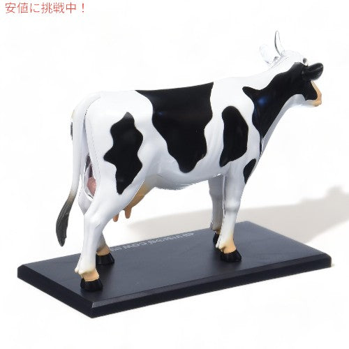 Tedco テッドコ 4D Master 牛解剖模型 Vision Cow Model Anatomy Model 2