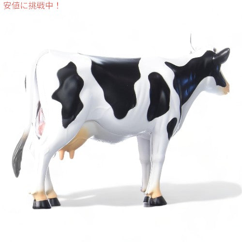 Tedco テッドコ 4D Master 牛解剖模型 Vision Cow Model Anatomy Model 3