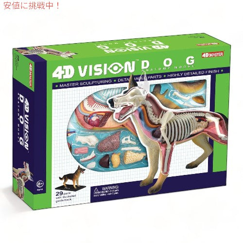 Tedco テッドコ 4D Master 犬解剖模型 Vision Dog Anatomy Model 1