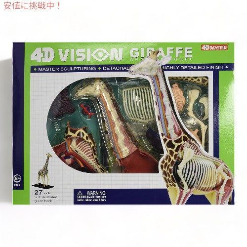 Tedco テッドコ 4D Master  キリン解剖模型 Vision Giraffe Anatomy Model 1