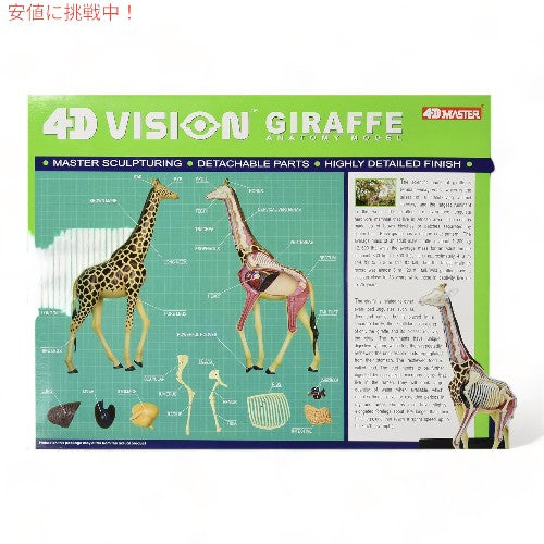 Tedco テッドコ 4D Master  キリン解剖模型 Vision Giraffe Anatomy Model 2