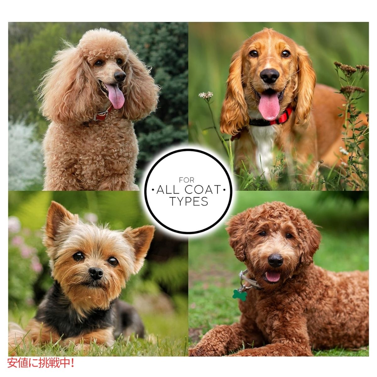 クリス クリステンセン Chris Christensen 505 8.5インチ プードルスタイル バターコーム Coarse Poodle Style Butter Comb 7
