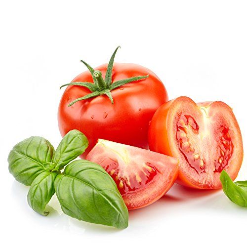 Augason Farms  トマトパウダー緊急食料貯蔵3ポンド10オンス0缶 5