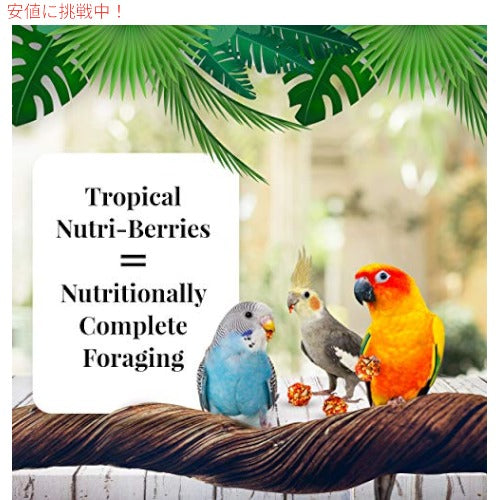 Lafeber トロピカル フルーツ Nutri-Berry ペット バード フード インコ ラブバード用、10 オンス/284g 2