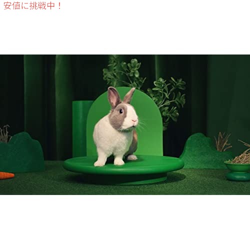 Kaytee Food from The Wild Natural Pet オカメインコ バード フード、2.5 ポンド 7