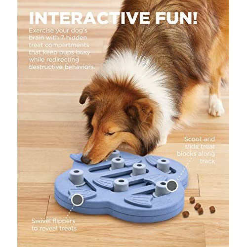 Nina Ottosson by Outward Hound Dog Hide N' Slide パープル インタラクティブ トリート パズル 犬のおもちゃ 4