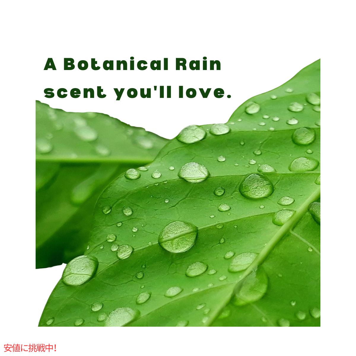 タイド Tide パワーポッズ + ファブリーズ ボタニカルレインの香り 63個 Power Pods Botanical Rain Scent 63 Count 5