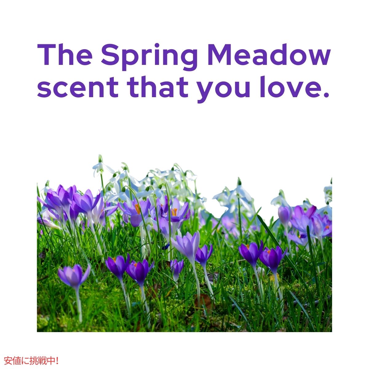 タイド パワーポッド 春の草原の香り 76個  Tide Powerpod Spring Meadow Scent 76 Count 6