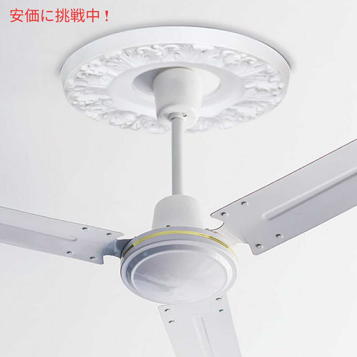 Westinghouse 7702700 Victorian Ceiling Medallion 10inches White Finish 6