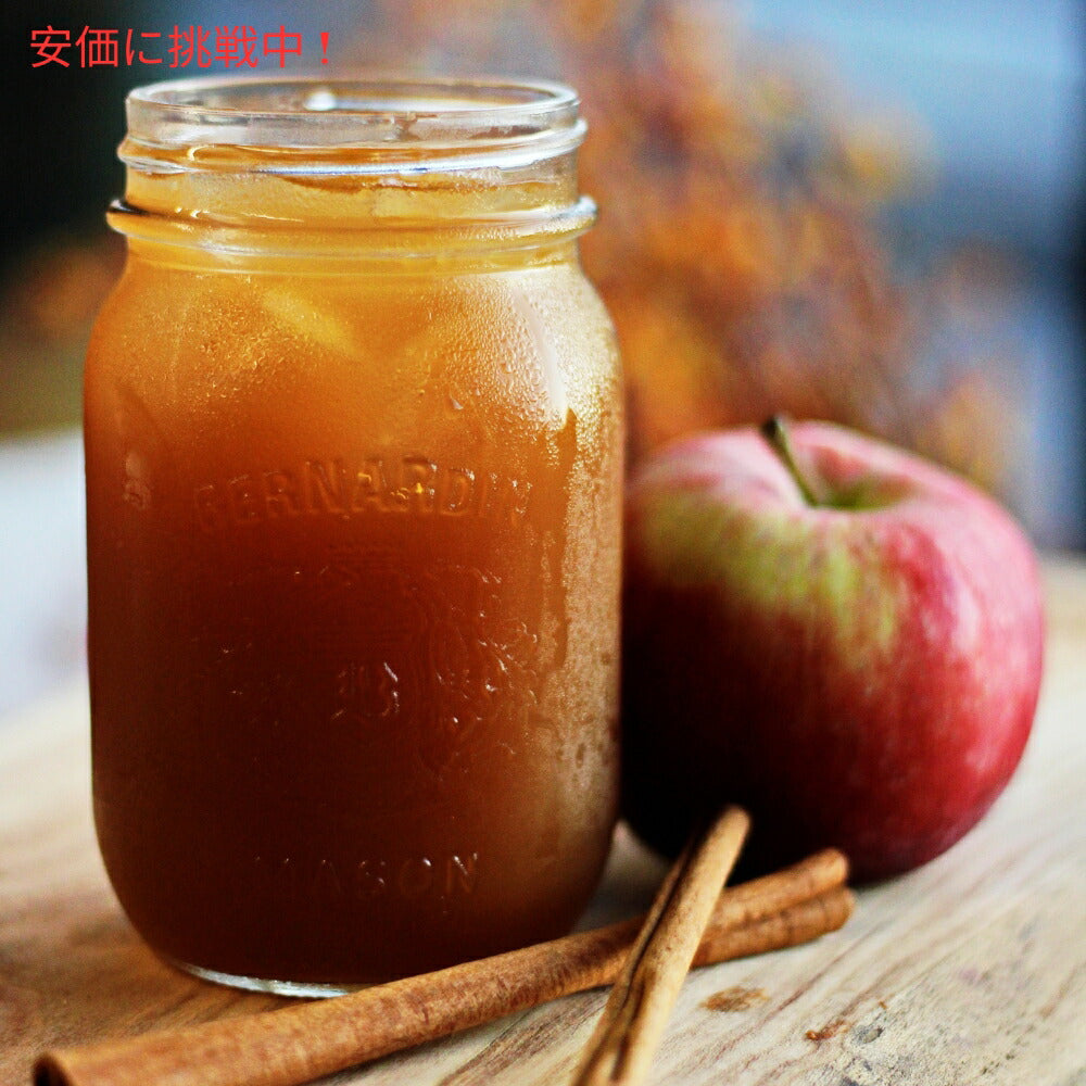 2個セット Alpine アルパインスパイスドサイダー インスタントミックス オリジナルリンゴ味 10個入りx2 Sugar Free Spiced Cider Instant Drink Mix 10pcsx2 6