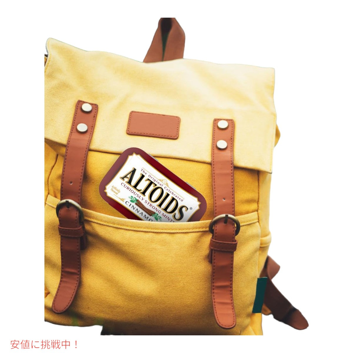 Altoids アルトイズ シナモン味 ミント タブレット キャンディー 50g x 24パック Cinnamon Mints 24 Packs 4