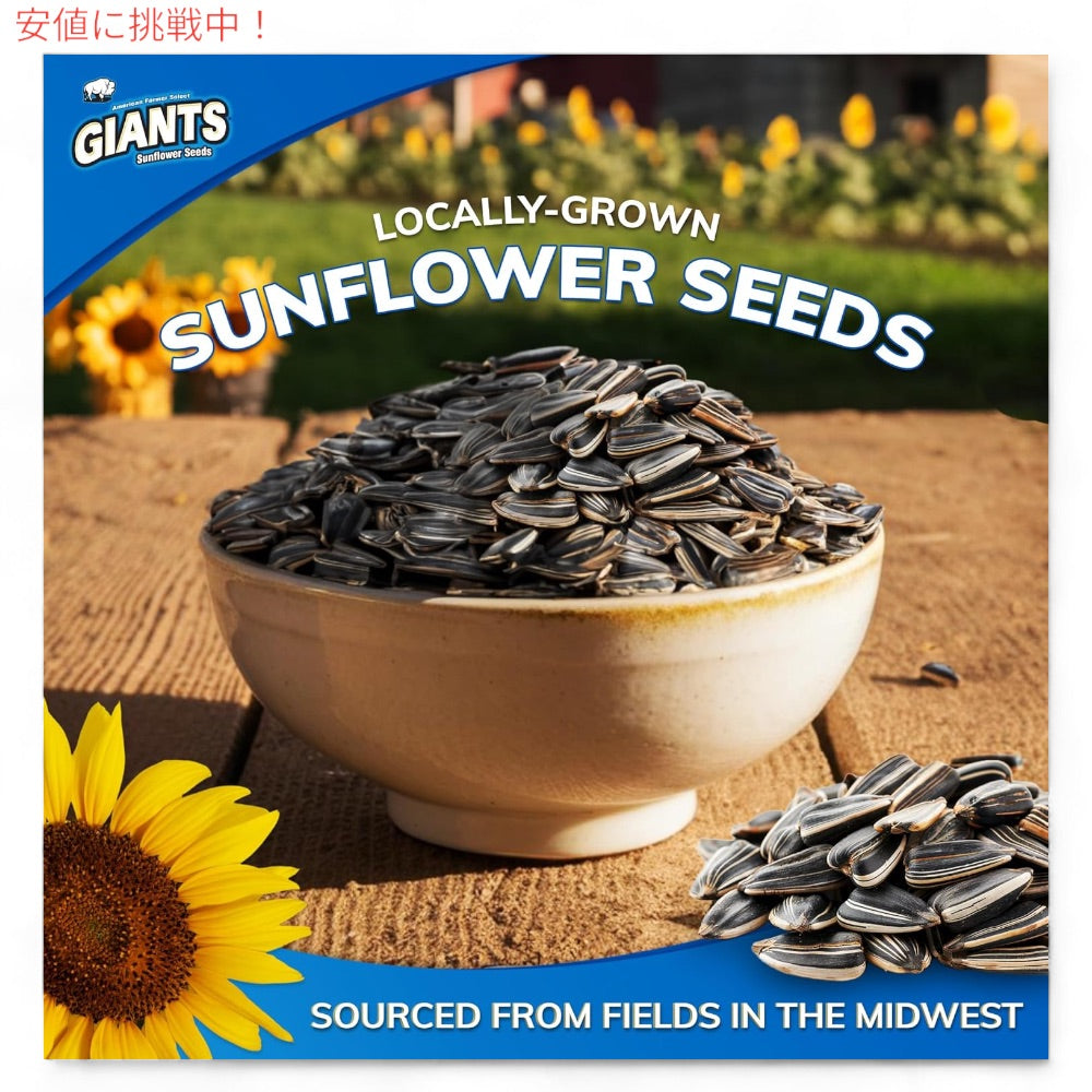 Giants Sunflower Seeds 5 Flavor Variety　ジャイアント ひまわりの種 サンフラワーシード5種 2