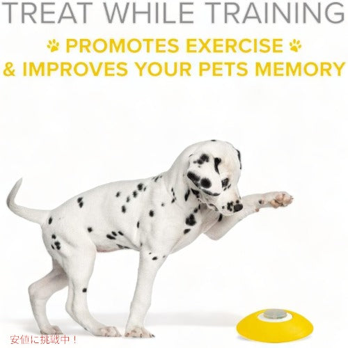 記憶式エサディスペンサー Arf Pets サウンドボタン付き アメリカーナがお届け! 2