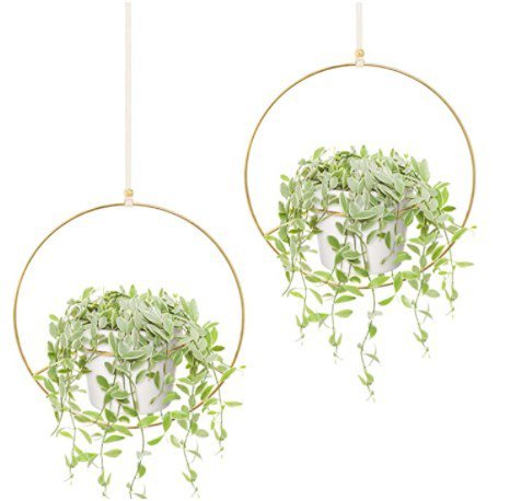 2個セットハンギングプランター 多肉植物 植木鉢 Gold 1