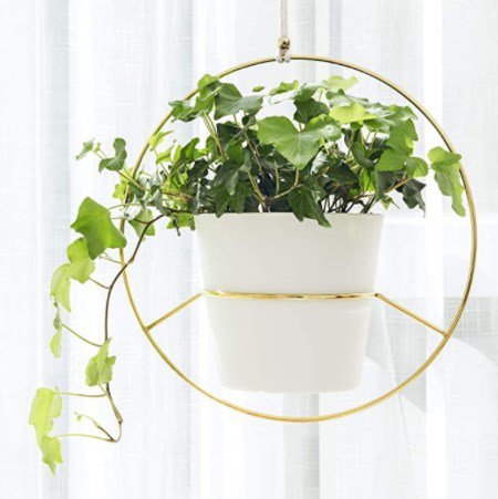 2個セットハンギングプランター 多肉植物 植木鉢 Gold 3