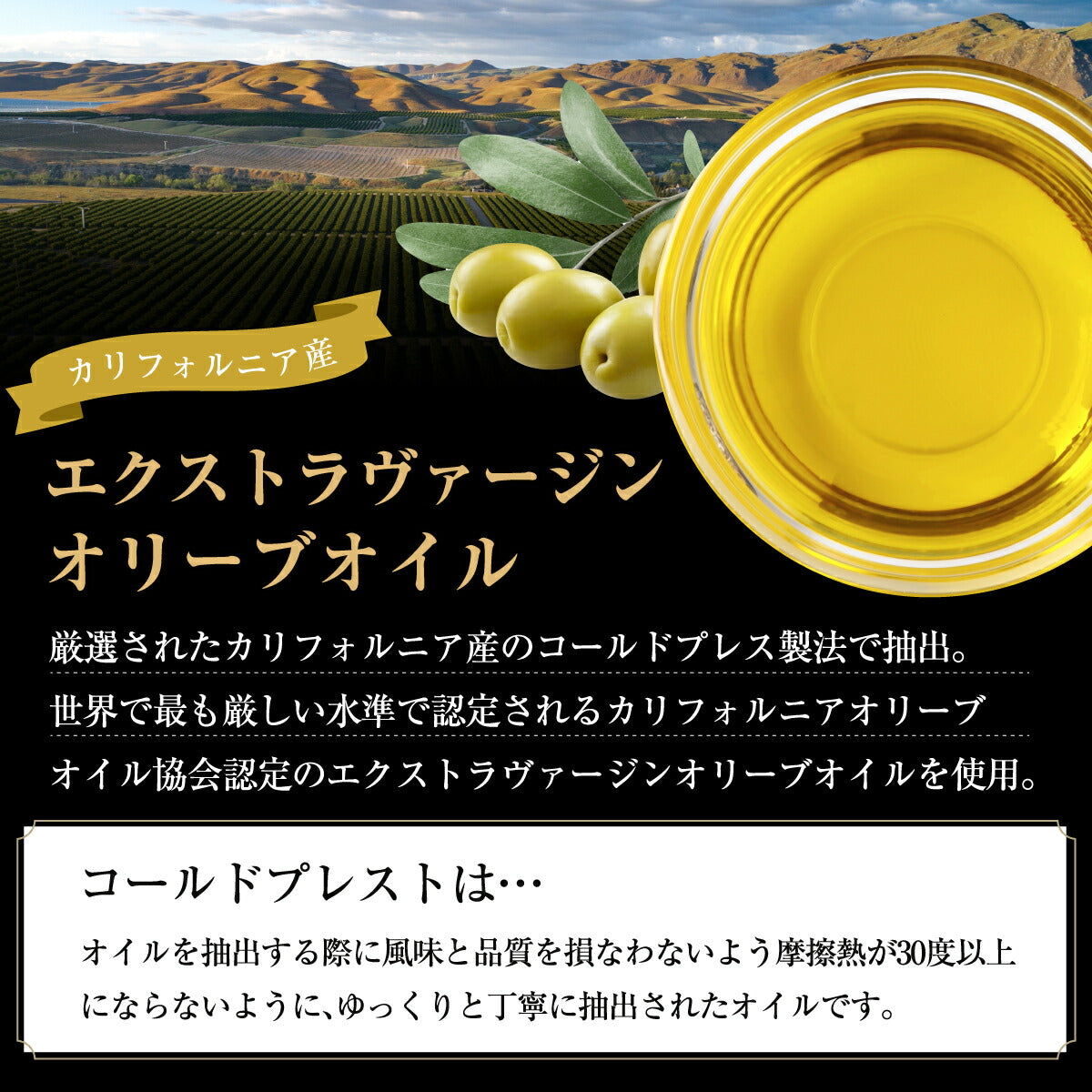 黒トリュフオイル 業務用サイズ 500ml 高級黒トリュフ 芳醇な香り レインボーファームズ Rainbow Farms Black Truffle Oil 4
