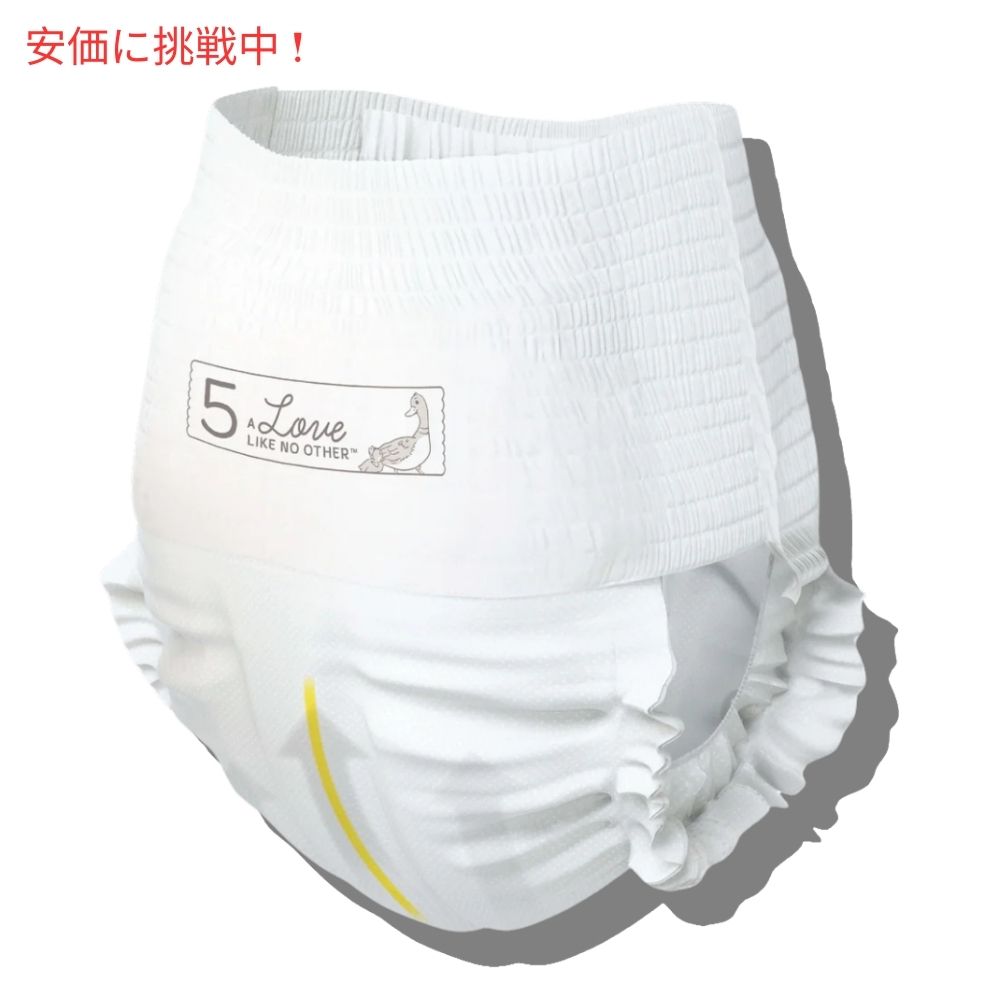 Bambo Nature バンボネイチャ ドリーム トレーニングパンツ 20枚入り サイズ5 Dream Training Pants 20 Diapers Size 5 2