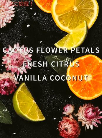 Bath & Body Works バス & ボディワークス フレグランスブースター [カクタスブロッサム] 510g / Fragrance Booster [Cactus Blossom] 18oz 2