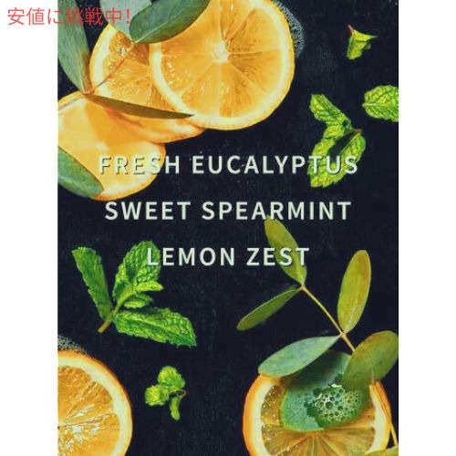 Bath & Body Works バス & ボディワークス 洗濯用洗剤 ランドリー [ユーカリプタスミント] 946ml / Laundry Detergent [Eucalyptus Mint] 32oz 2