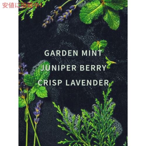 Bath & Body Works バス & ボディワークス 洗濯用洗剤 ランドリー [フレッシュブルースカイ] 946ml / Laundry Detergent [Fresh Blue Sky] 32oz 2