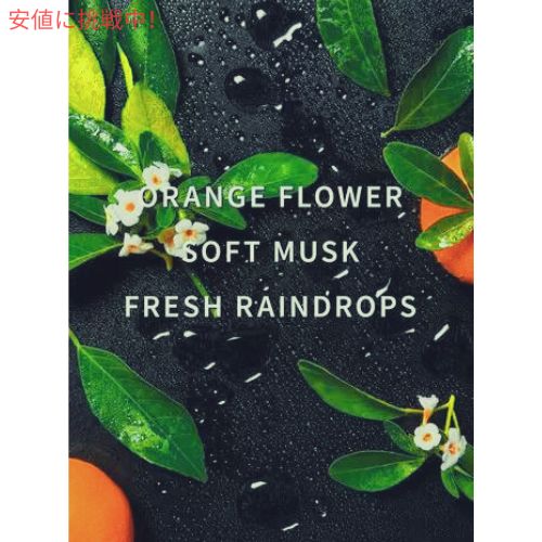Bath & Body Works バス & ボディワークス 洗濯用洗剤 ランドリー [モーニングレイン] 946ml / Laundry Detergent [Morning Rain] 32oz 2