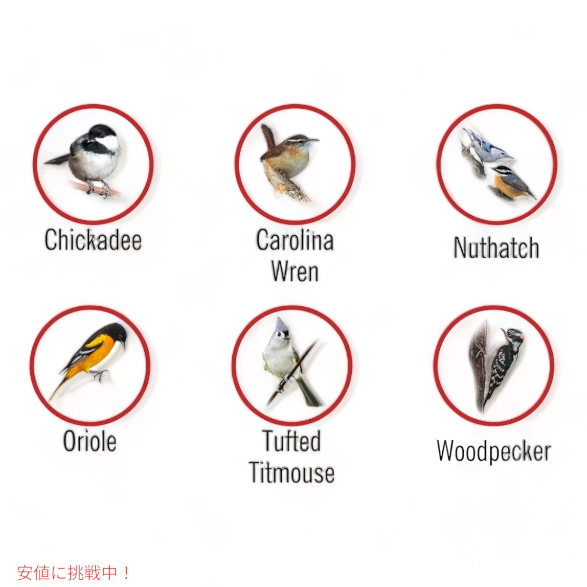 モアバード ダブルスート ケージ バードフィーダー ウェザーガード屋根付き ダブルロック式 More Birds Double Suet Cage Bird Feeder 6