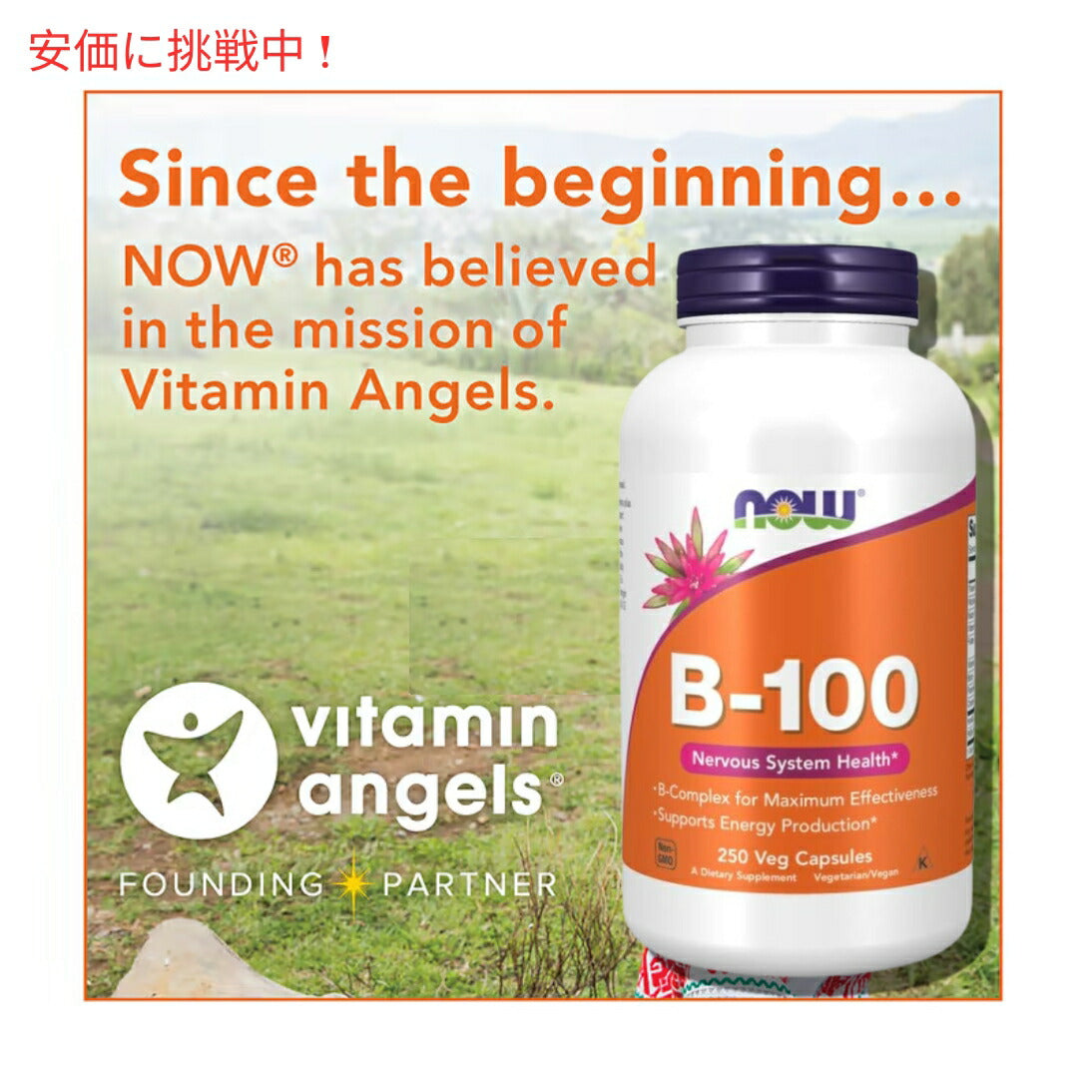 【6個セット】Now Foods ナウフーズ Vitamin B-100 0438# (ハイポテンシーBコンプレックス) 250カプセル 5