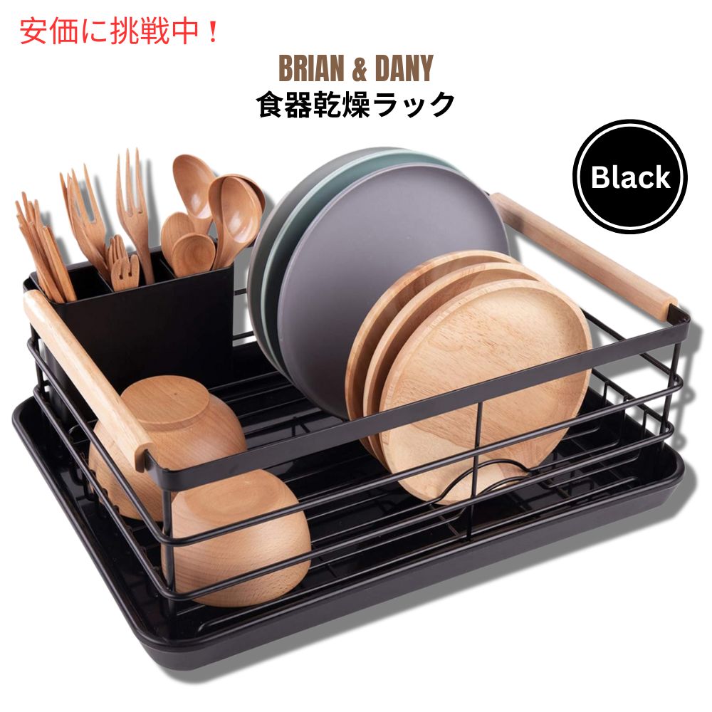BRIAN & DANY ブライアン＆ダニー 食器乾燥ラック ブラック 水切りラック 水切りカゴ Dish Drying Rack Black 1