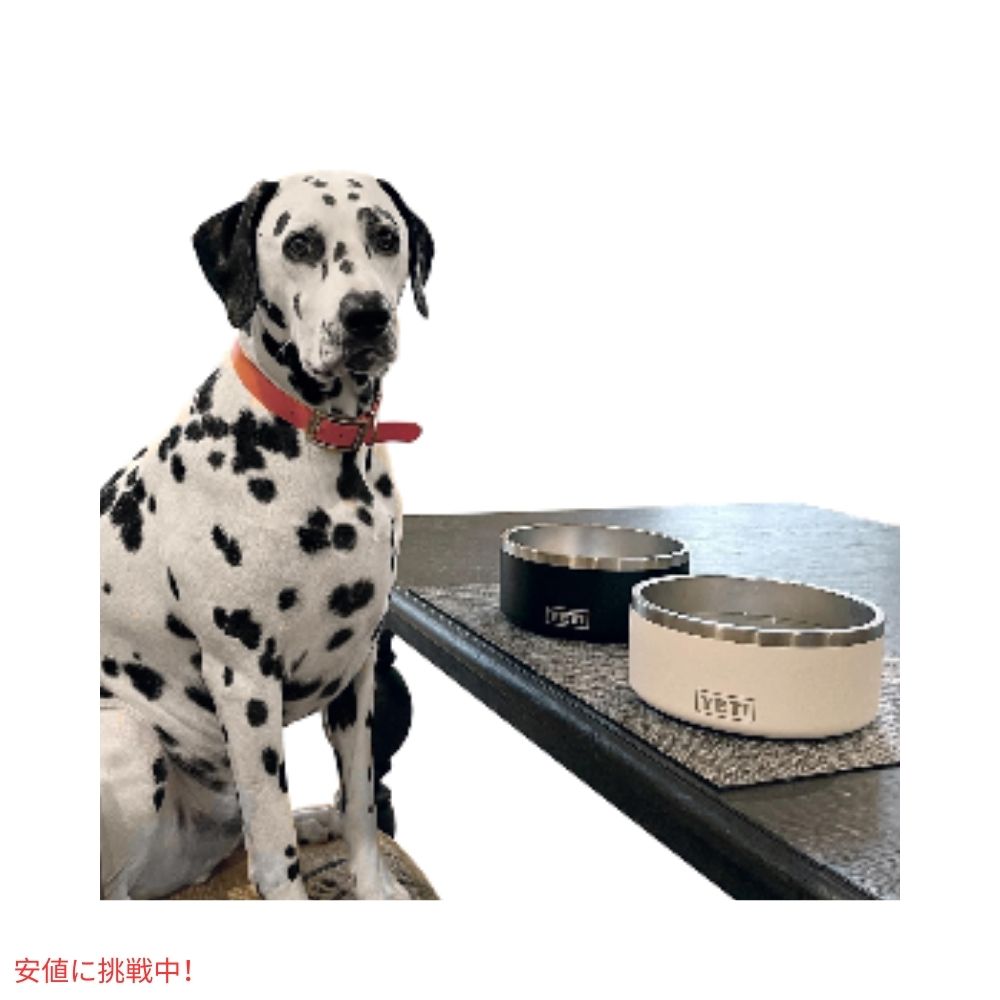 YETI イエティ ブーマー 8 ドッグボウル ビッグウェーブブルー Boomer 8 Dog Bowl Big Wave Blue 7