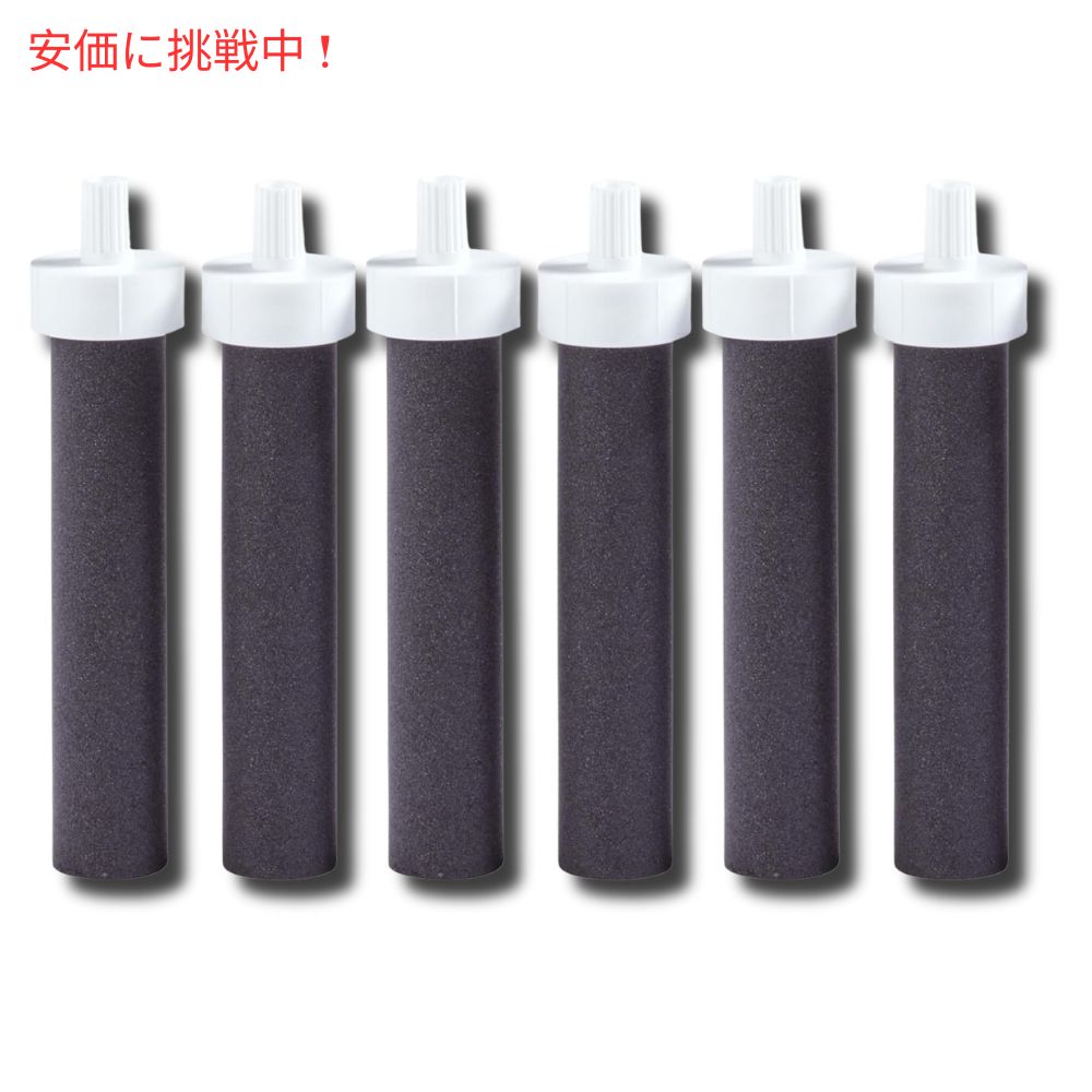 Brita ブリタ ウォーターボトル用交換フィルター 6個セット Water Bottle Replacement Filters 6pcs 3