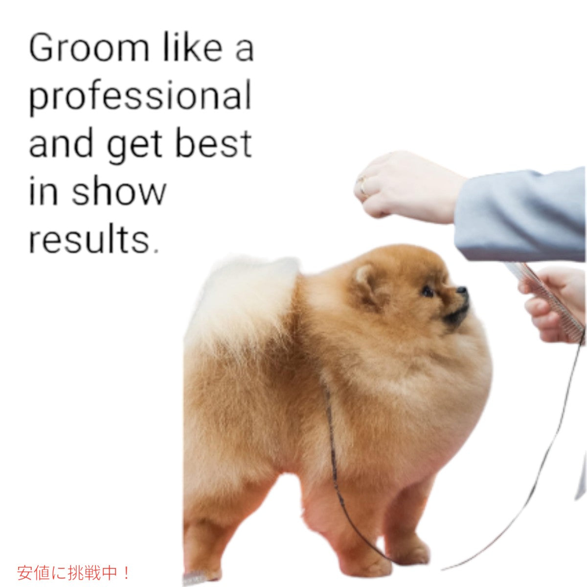 クリス クリステンセン Chris Christensen 000 7.5インチ グレイハウンドスタイル バターコーム  Greyhound Style Butter Comb 4