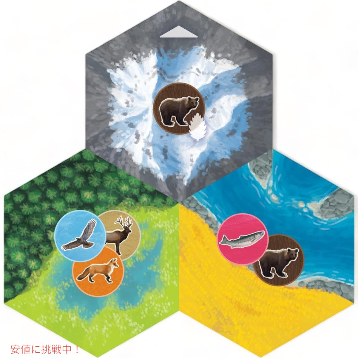 AEG & フラットアウト ゲームズ カスケディア ボードゲームセット  AEG & FlatOut Games Cascadia Award Winning Board Game Set 7