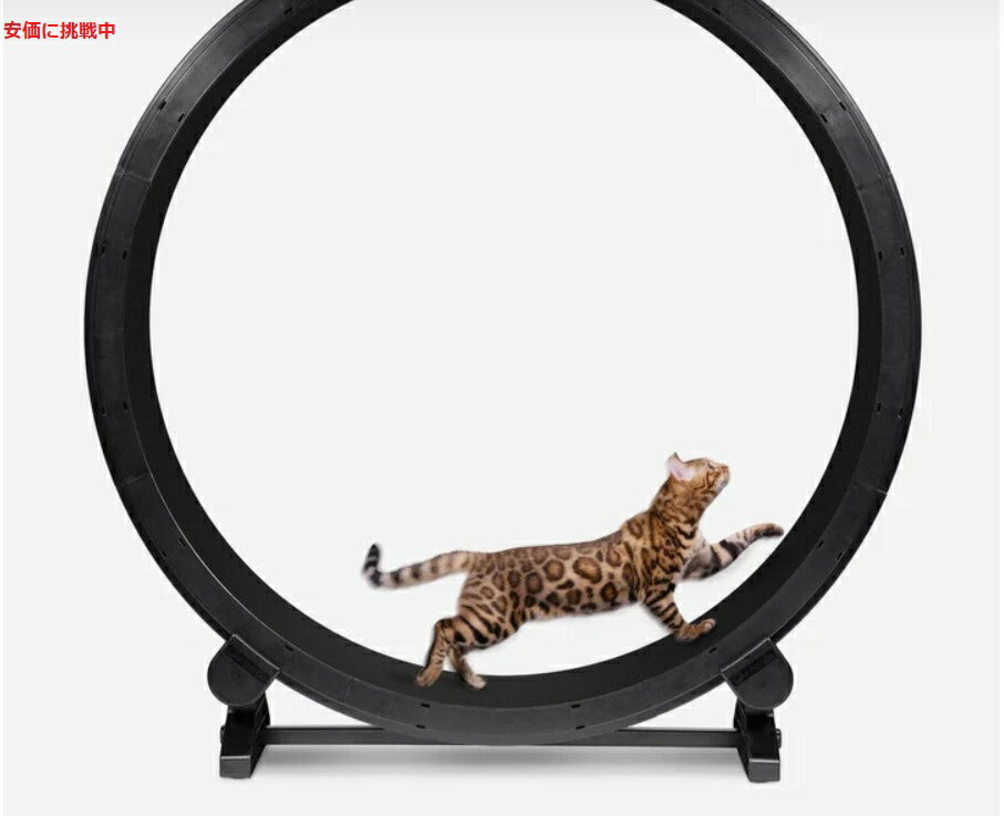 ワンファストキャット ONEFASTCAT 猫用 Cat Exercise Wheel  エクササイズ ホイール キャットホイール Gen.6 1
