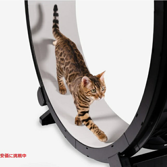 ワンファストキャット ONEFASTCAT 猫用 Cat Exercise Wheel  エクササイズ ホイール キャットホイール Gen.6 2