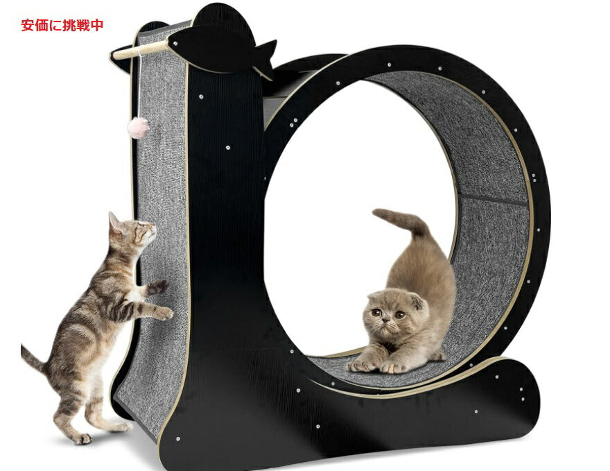 多機能付き 猫用エクササイズホイール 2 in 1 Cat Exercise Wheel  室内猫の運動グッズ 1