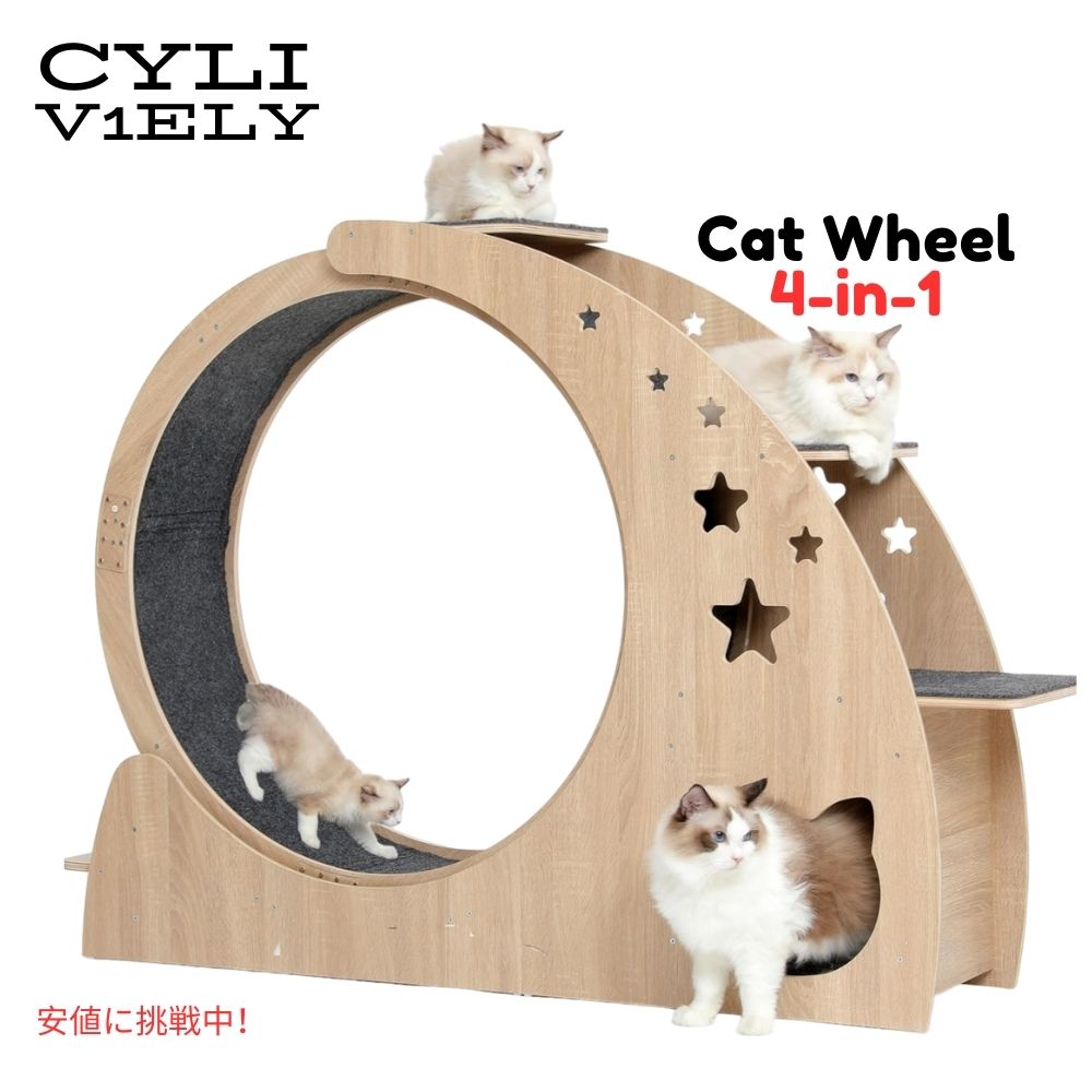 猫用 キャット 4in1エクササイズ 高さ41.3インチ ねこ用家具 Cat Wheel 4in1 Cat Exercise Wheel キャットウォーク キャットハウス 1