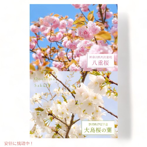 ヤマサン さくらパウダー 桜の花 桜の葉 パウダー 40g（1.4oz） 国産 YAMASAN Sakura Cherry Blossom Powder 4