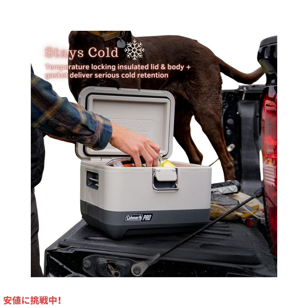 Coleman コールマン プロ  ハードクーラー ランチボックス 9クオート ヘビーデューティー  断熱 Pro Hard Cooler Lunchbox Lunchbox  9-Quart 4