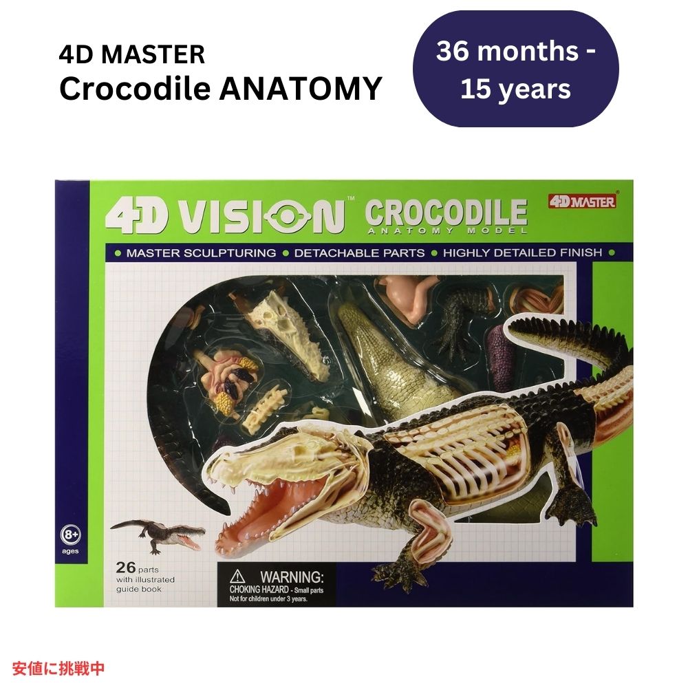 4Dビジョン ワニ解剖模型 4D Vision Crocodile Anatomy Mode 1