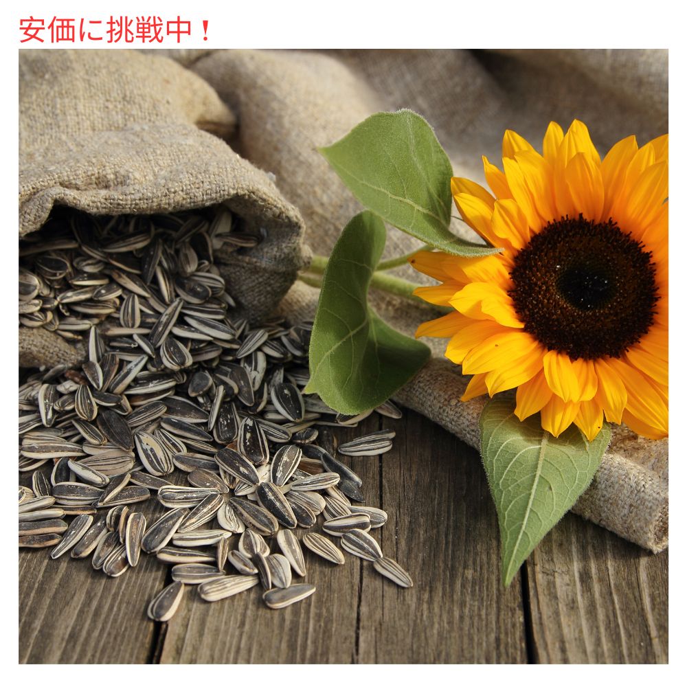 DAVID Sunflower Seeds デイビッド サンフラワーシード　オリジナル　24パック　ひまわりの種 49.6g (1.75 oz ) 5