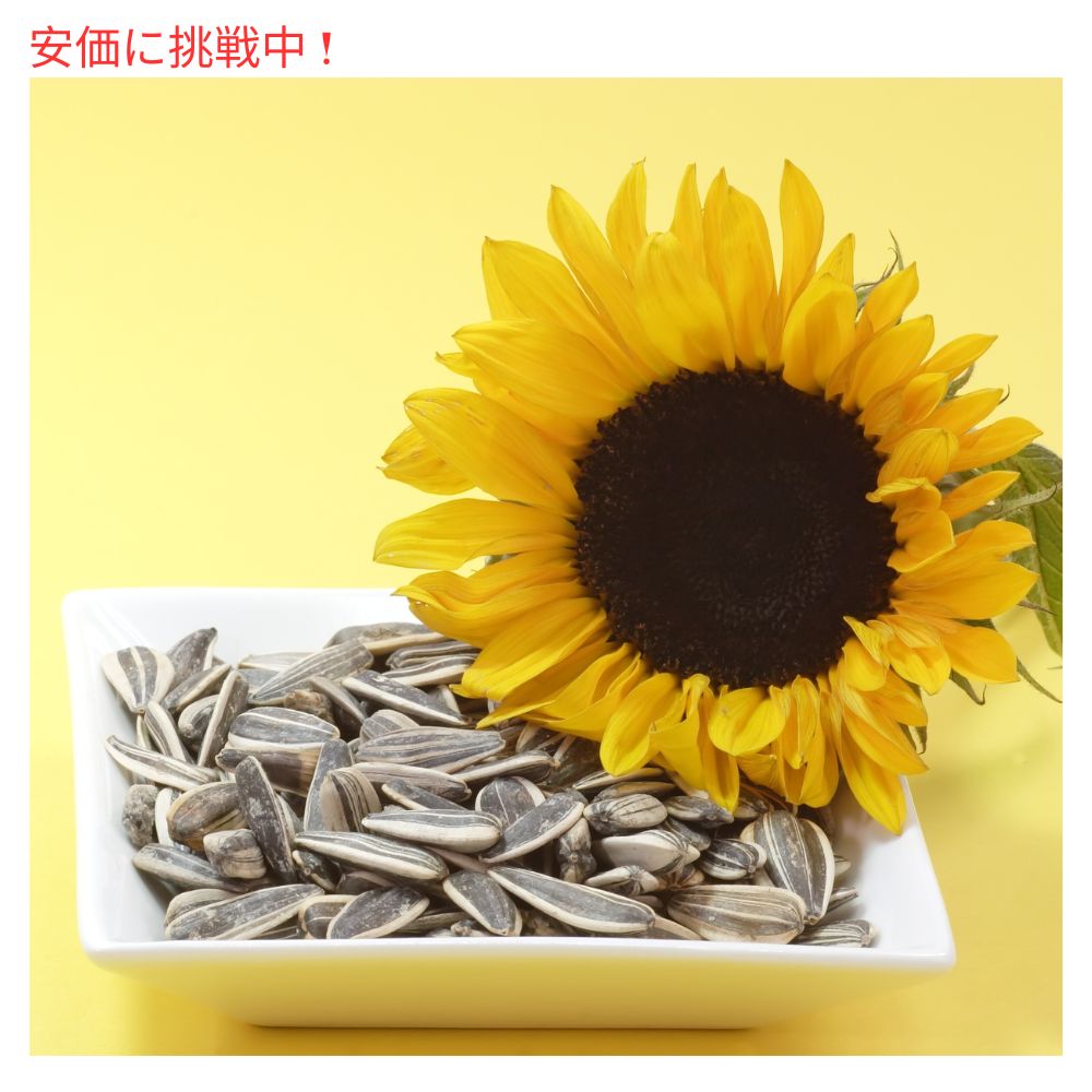 DAVID Sunflower Seeds デイビッド サンフラワーシード　オリジナル　24パック　ひまわりの種 49.6g (1.75 oz ) 6