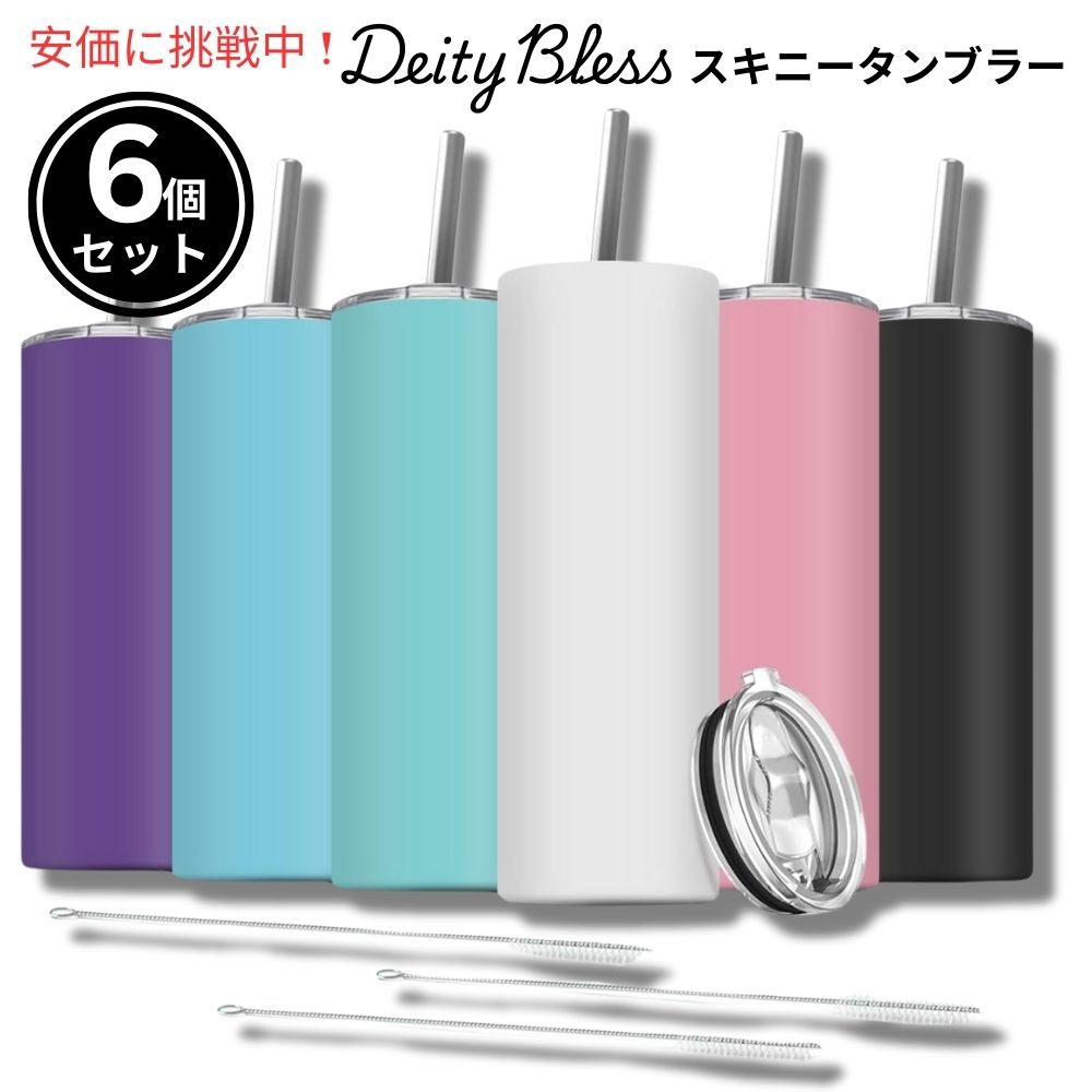 DeityBless ディティブレス 6個セット ステンレス製 スキニータンブラー 590mL アソートカラー 6 Pack Stainless Steel Skinny Tumbler 20oz Assorted Colors 1