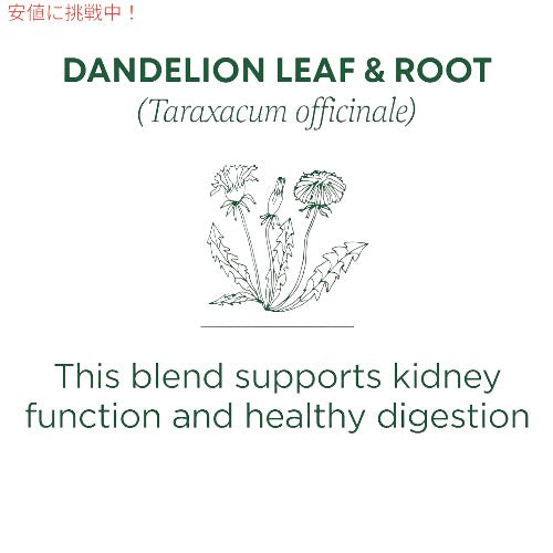 Traditional Medicinals Dandelion Leaf & Root Tea|トラディショナルメディシナル ダンデライオンリーフ&ルート ティーバッグ 16包 28g 2
